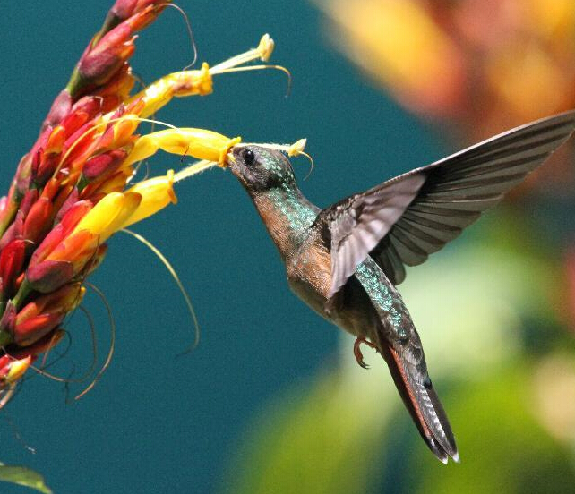 ������֮�����۷���