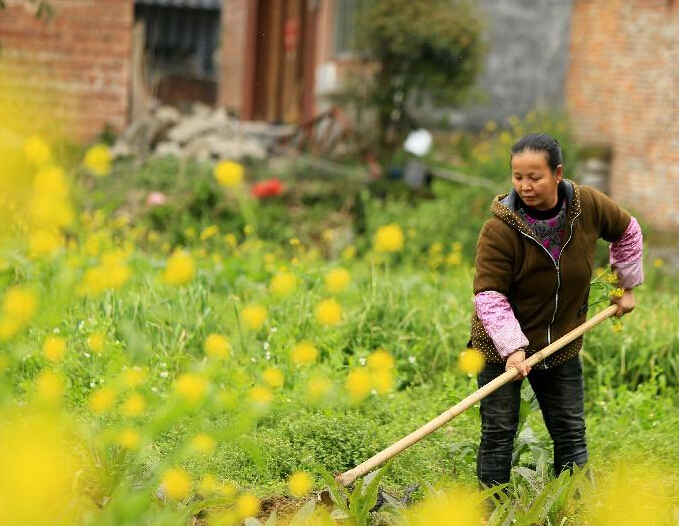 �����ڰ������ظ�Ůæ������