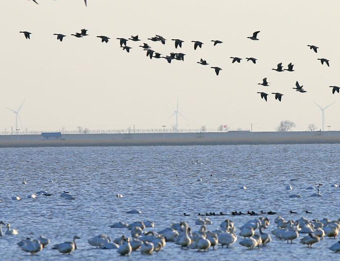 ��򱱴��ʪ�ؽ������Ǩ��߷弾��