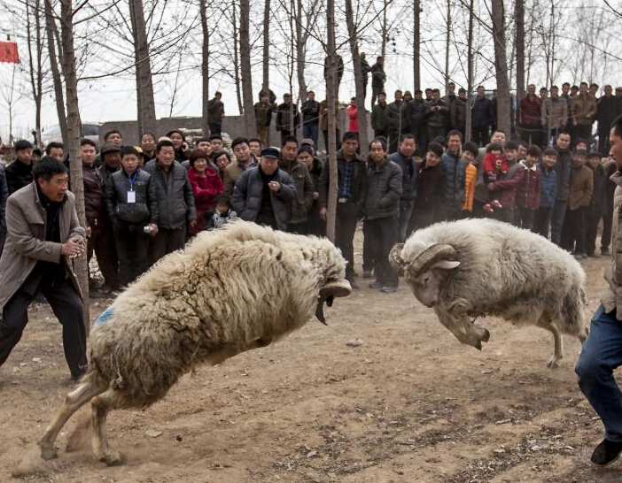 ���ϻ��ؾ��ж������ ���漤�ҡ�