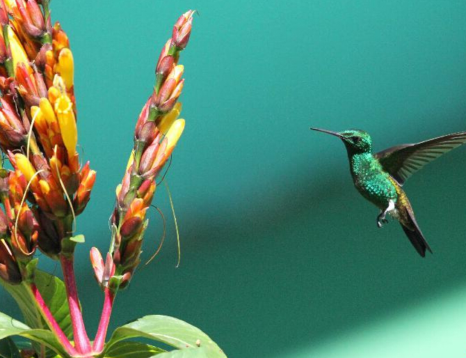 ������֮�����۷���