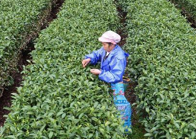 ���ƴ������г���