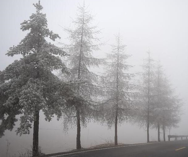 ʵ��������ũ�� ���������ɾ���