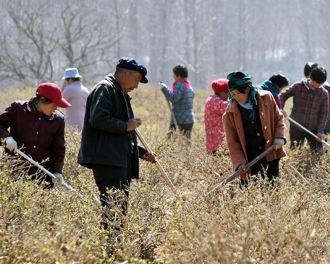 ũ����� ����������