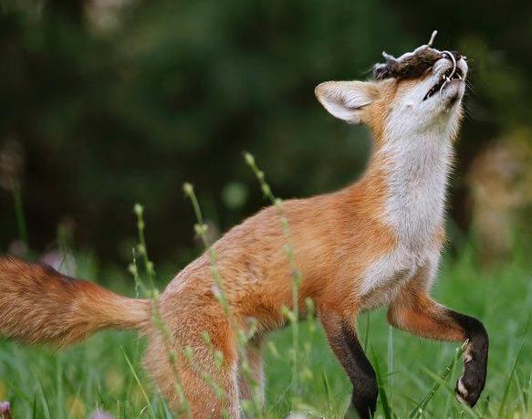 С�������������Ϸ ������������