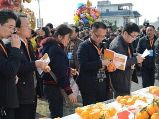 ����֪�𡱽۳��Ĵ��������� ��������������