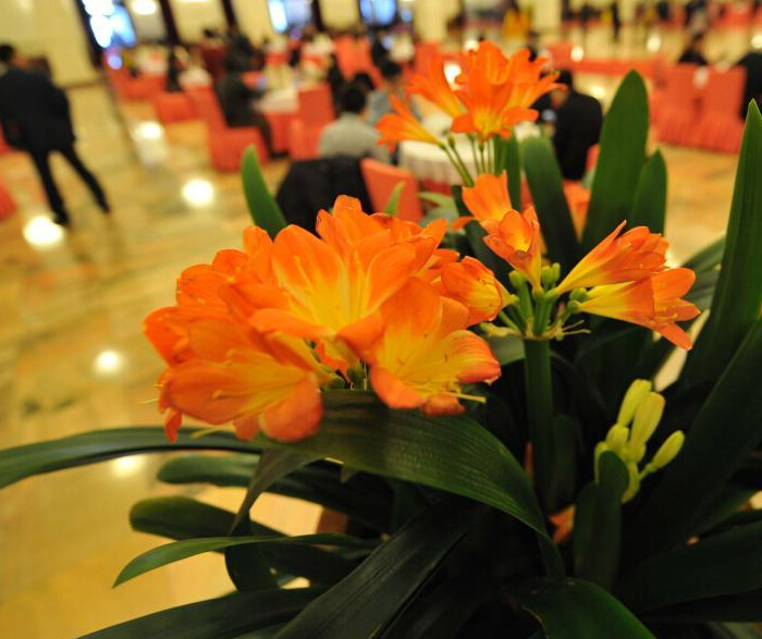 ���������ڴ���Ũ��