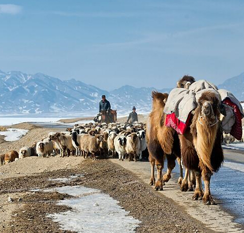 �½�����40��ţ�򴺼���Ǩ�㡱