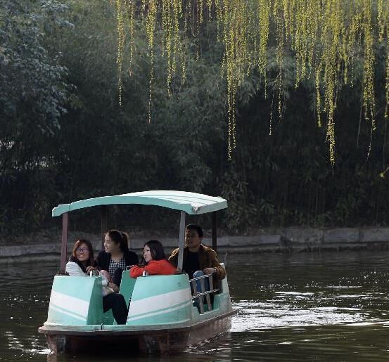 ������ů��ɫ�¡�