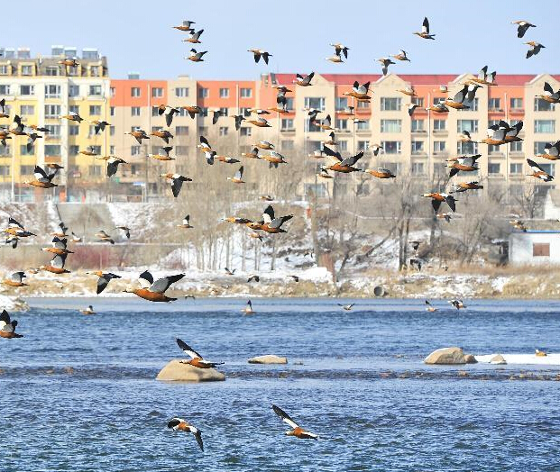 ����ˮůѼ��֪��