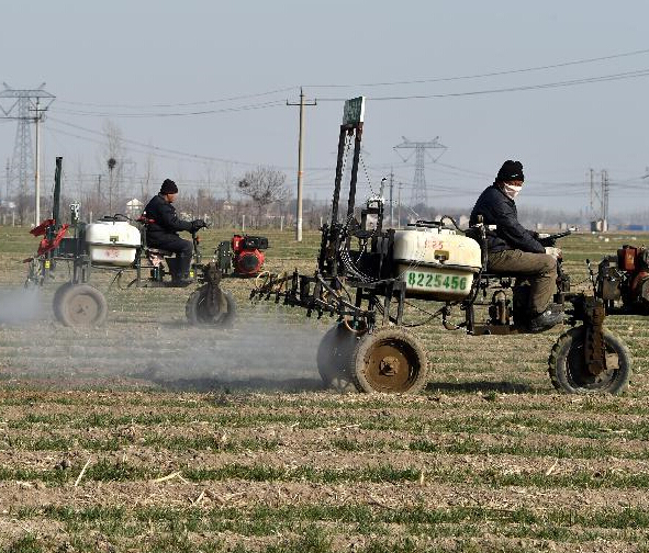 ɽ��С����������������ʩ��ʩҩæ��
