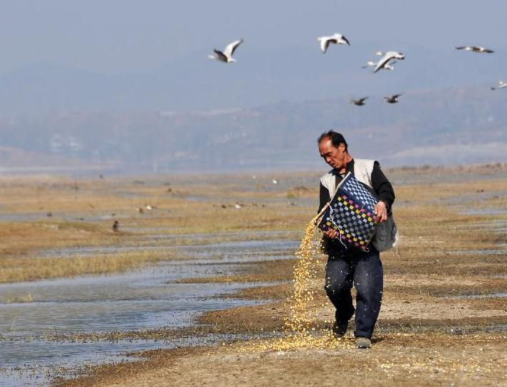 �ݺ������� ����ʮ���ء�