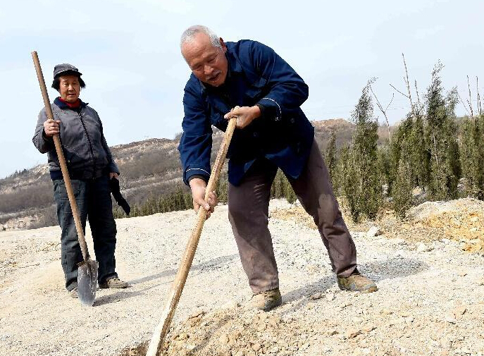 ä���Ϻ�ʮ����ֲ����ɽ��