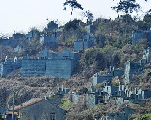 �㽭����ĹȺΪ������ˢ���� ���س�����������