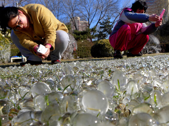 ����ʯ��ɽһ��԰�ֺ����������硱���ۡ�