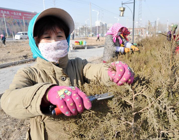 ֲ���ڣ��������ж���������