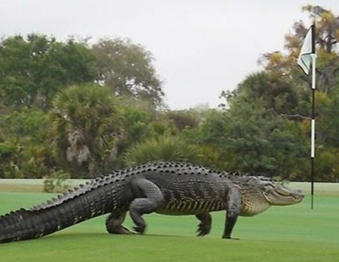 ���߶��������־޴����� ����4���ǻ����롱