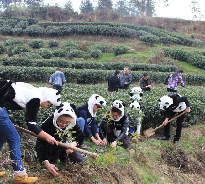 �Ĵ�����־Ը�ߴ���è��������