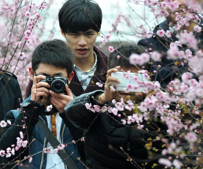 ��ɳ������÷��̤������