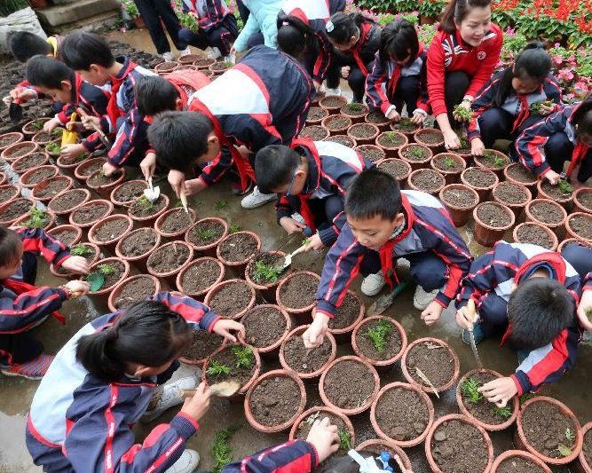 У԰ӭ��ֲ���ڡ�