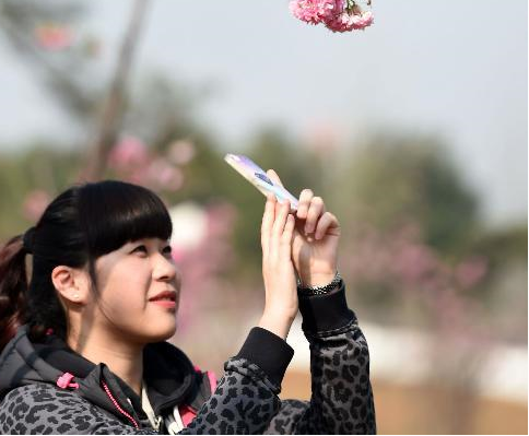 �Ϸʣ�̤����ʱ�⡱