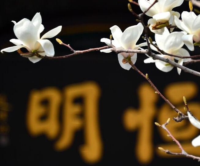 ����������Ȫ�ǡ�