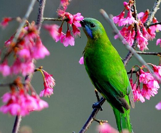 ����ŨŨ��