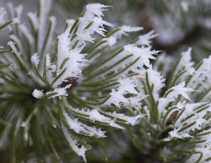 NASA�۲ⱱ�����ò�������ȶ� �̲����ѡ�