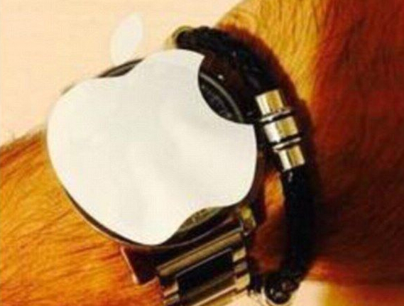 ƻ�����˻���� ������ʽ������ɽկƻ���ֱ���