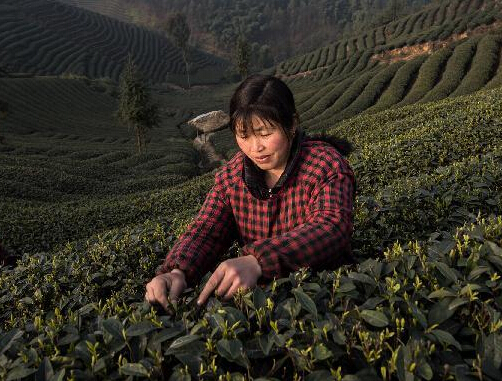 �����ִ���