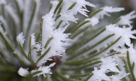NASA观测北半球地貌:春意萌动 绿草苏醒”