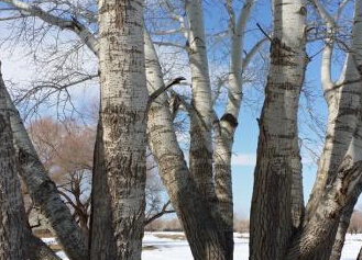 �½�����̩�ȶ����紺ӡ��