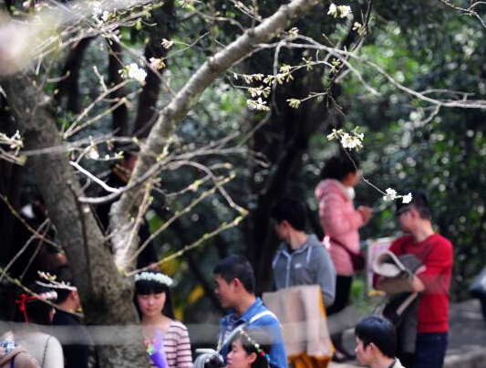 ���ӣ������ ���˷���������