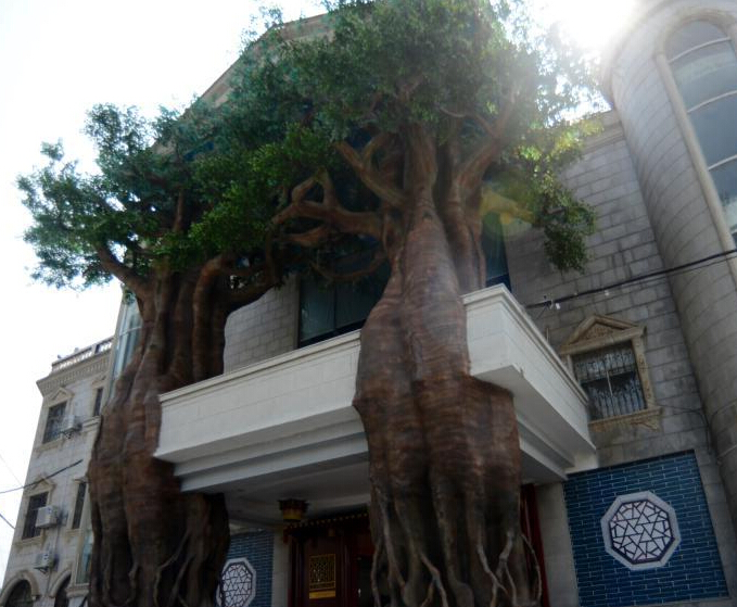 湖南现“古树城堡” 门口两棵15米高“假古树””