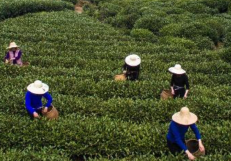 �������������������迪�ɡ�