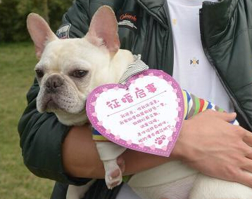 �ɶ�������������԰���������ѵ���Χ�ۡ�