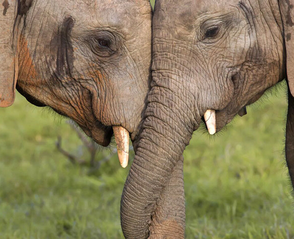 ���޴����ó���������ı�������