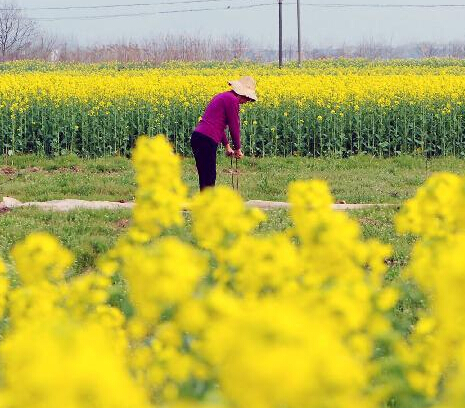 三月春耕春种忙”