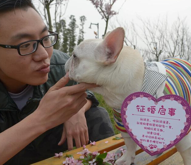 成都“单身狗”公园内征婚求脱单引围观”