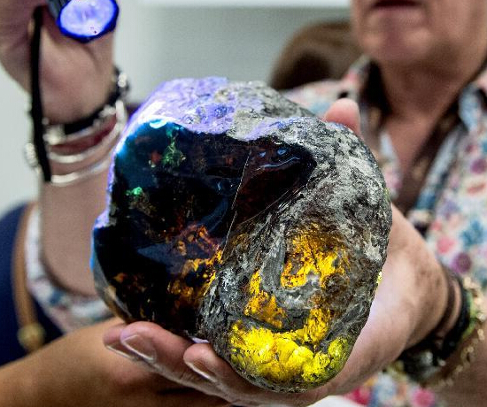 立陶宛举办国际琥珀展”