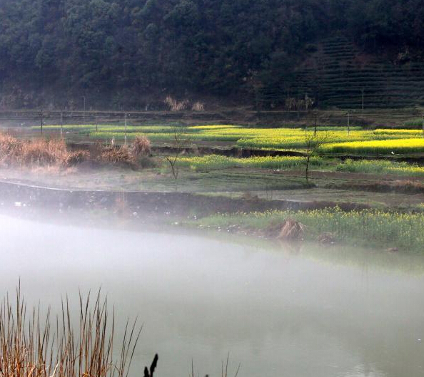 安徽黄山新安江现平流雾奇观”