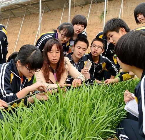 近距离感受节水农业”