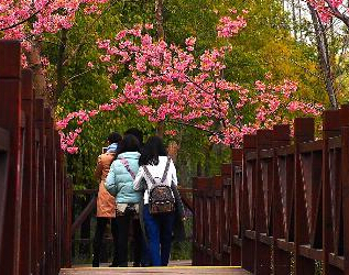 2015�Ϻ�ӣ���ڿ�Ļ��