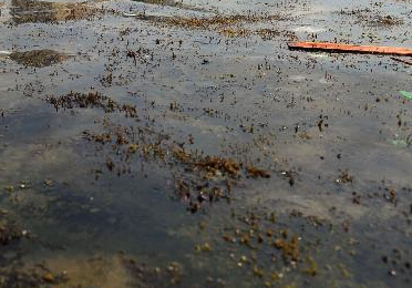 �������Ǵ󶫺������塰���֡���