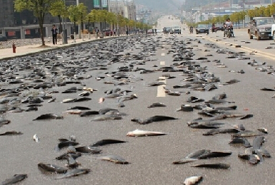 �����������ɢ��һ�� ��·˲�����ء�