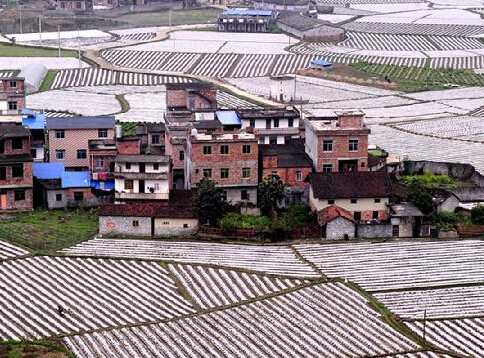 ����ͼ��