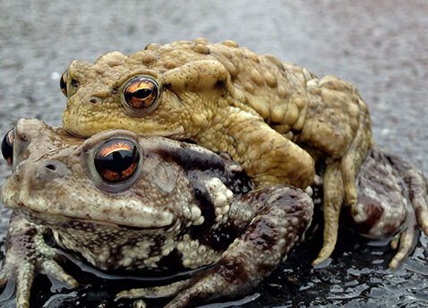 ���ݴ������� �㳡�ϸ�󡡰���������