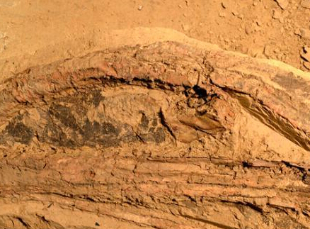 秦兵马俑坑首次发现最完整弓弩”