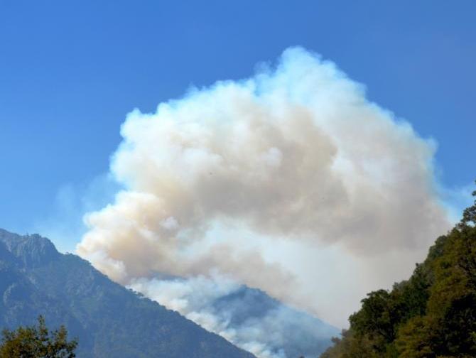 ����ɭ�ִ��������ӡ�