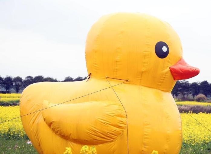 �����Ѽ�����཭�������Ͳ˻�����Χ�ۡ�